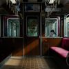 猫　電車