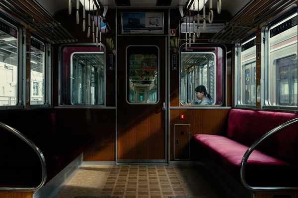 猫　電車